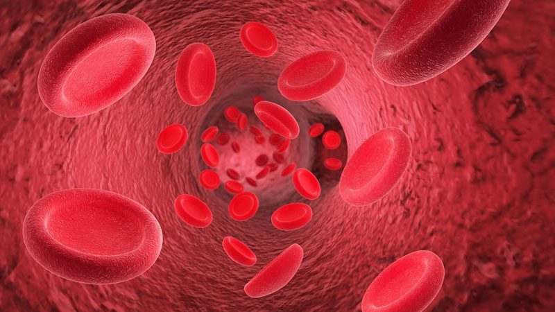 عناب و غلظت خون