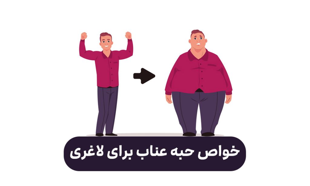 کاور مقاله خواص حبه عناب برای لاغری